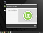 Linux Mint Install - Step 10