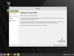 Linux Mint Install - Step 14