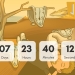 Create a Countdown Timer with JavaScript
