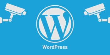 38 essential points to harden WordPress