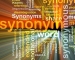 Synonym Word Replacer